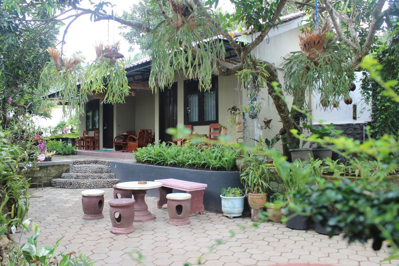 Homestay Banyu *
