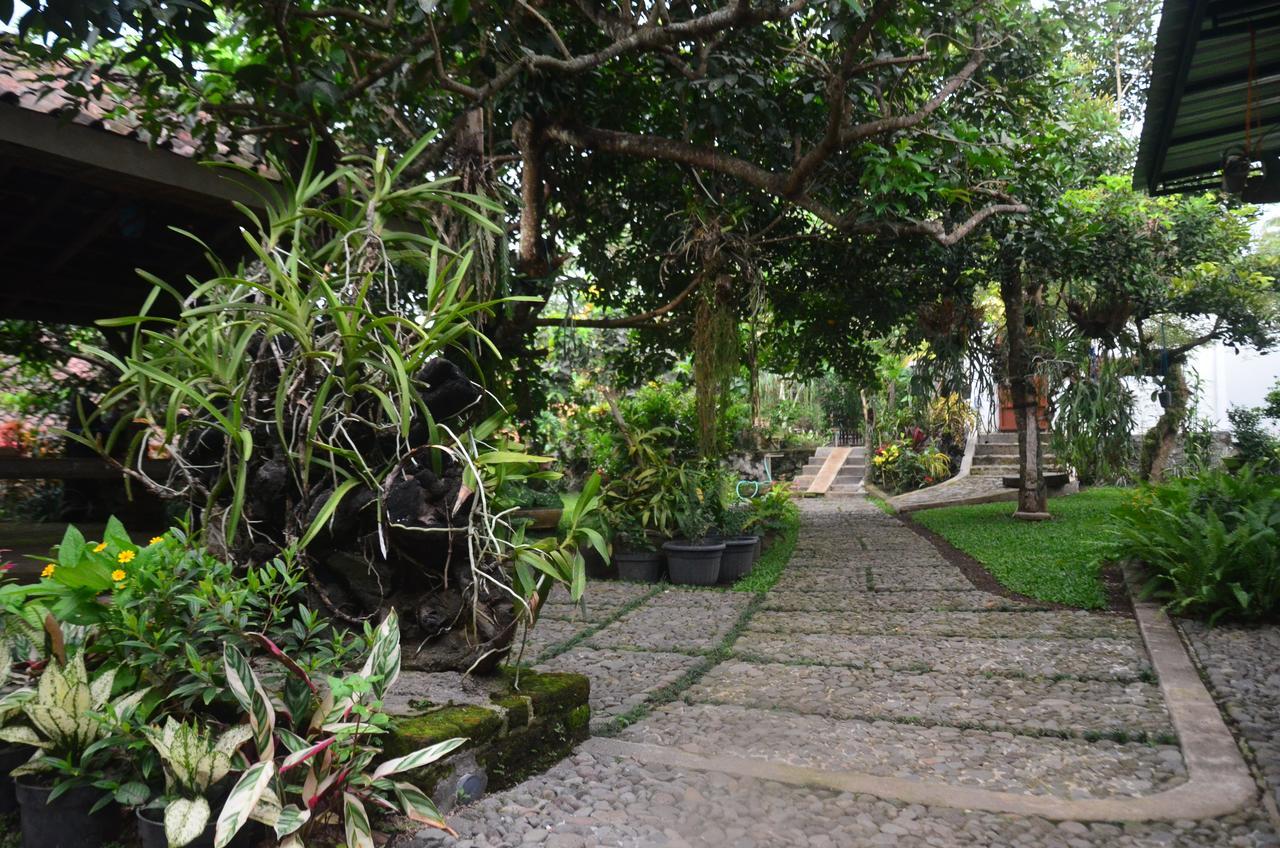 Homestay Banyu *