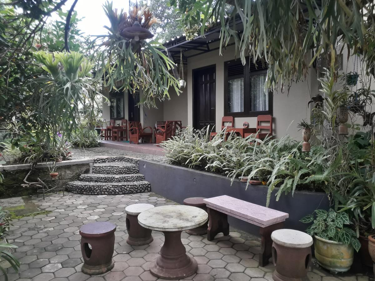 Homestay Banyu *