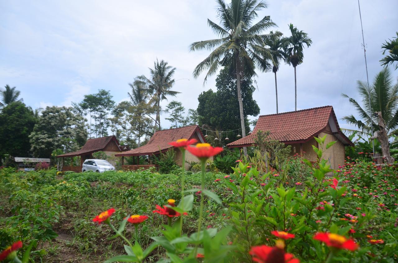 Banyu * Banyuwangi (East Java)