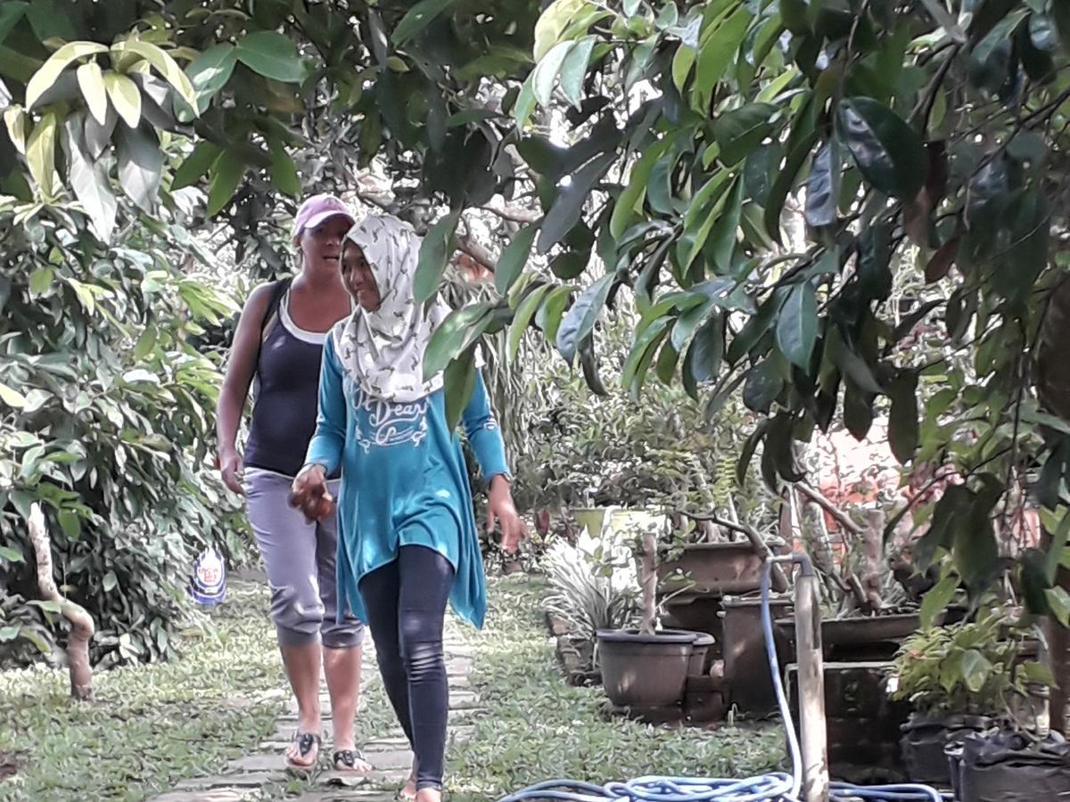 Homestay Banyu *