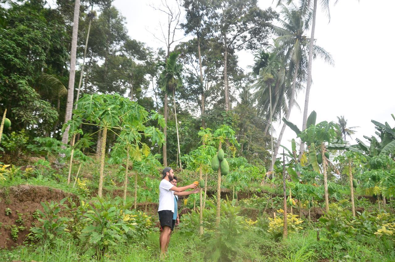Banyu * Banyuwangi (East Java)