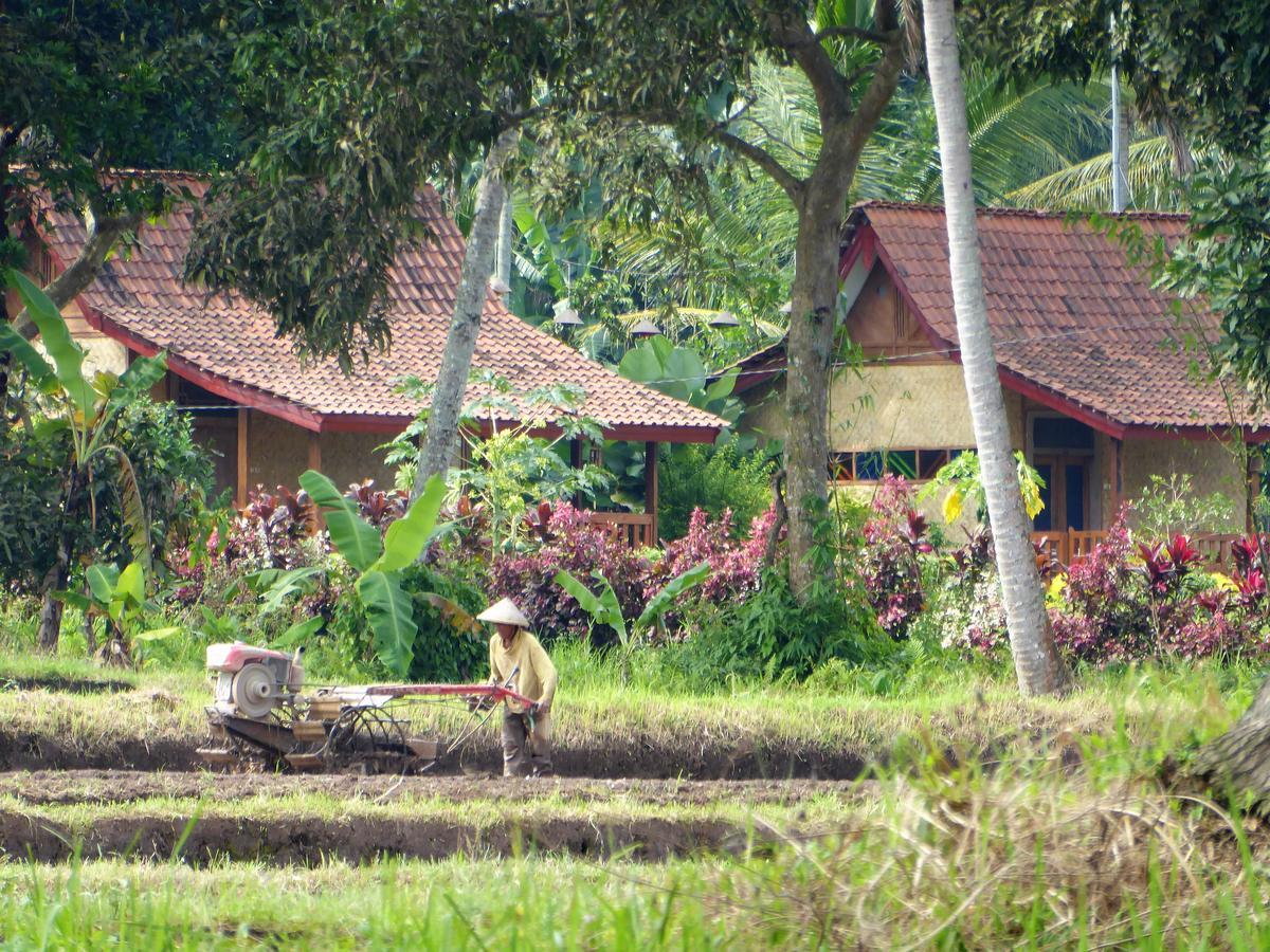 Banyu *