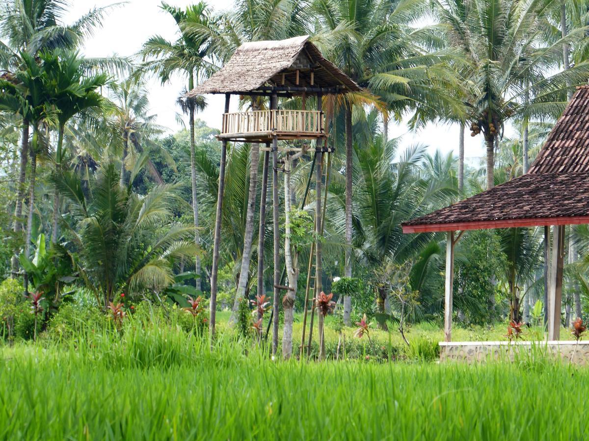 Homestay Banyu