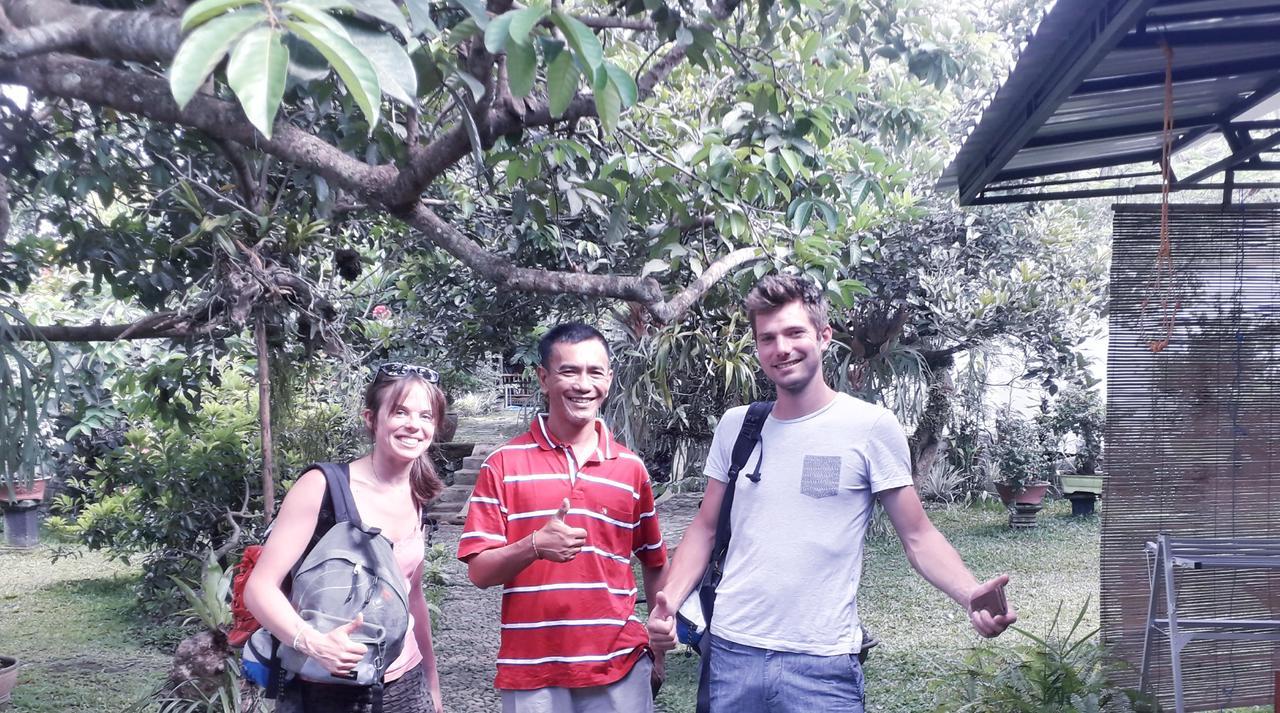 Homestay Banyu *